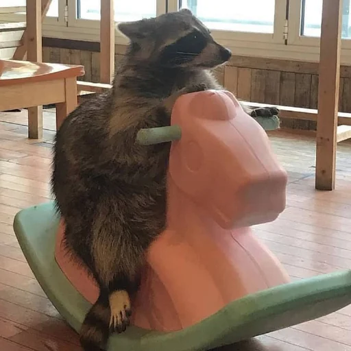 Sticker raccoon_by_HitchhikersBot - 1