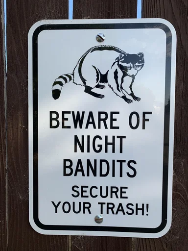 Sticker raccoon_by_HitchhikersBot - 1