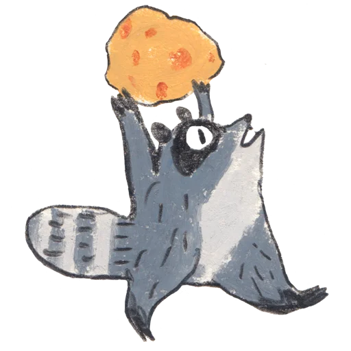 racoon_osierforest - 