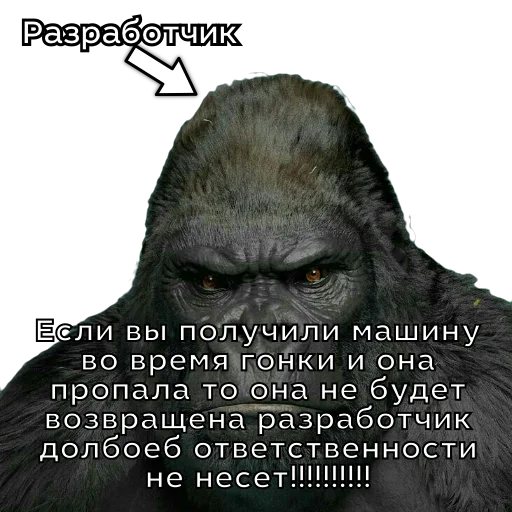 Стикер @race_news - 9