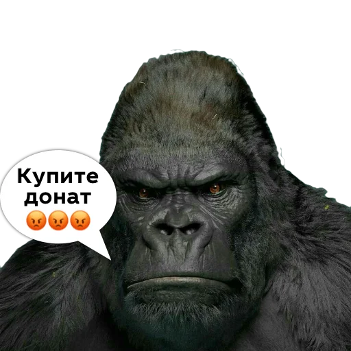 Стикер @race_news - 7