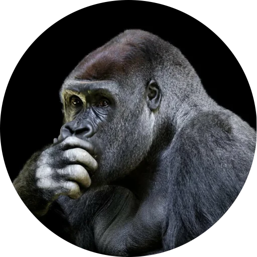 Стикер @race_news - 1