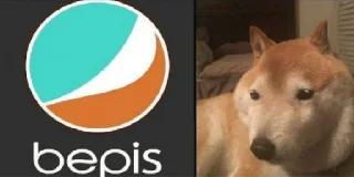 СМС домашнее животное животное