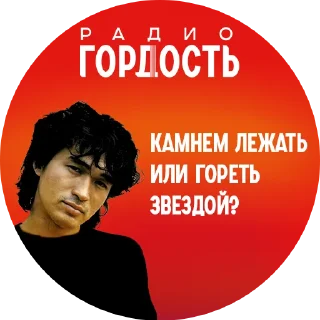 Стикер Радио «Гордость» - 2
