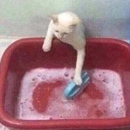 комнатный ванная тонуть