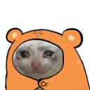 radiumdunk - животное