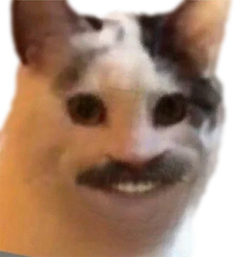 @EricKotato's random pack - 