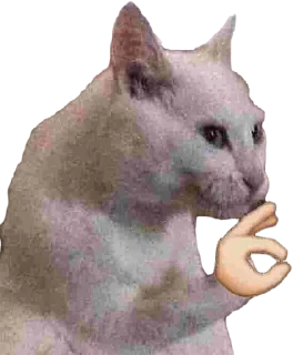 Стикер @EricKotato's random pack - 0