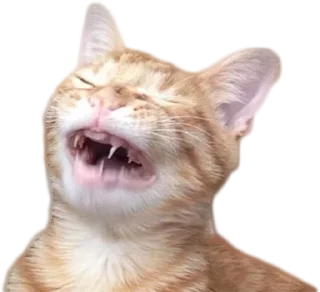 Стикер @EricKotato's random pack - 3