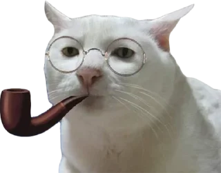 Стикер @EricKotato's random pack - 1