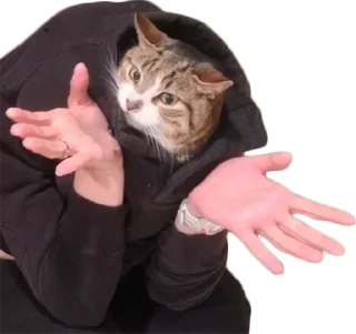 Стикер @EricKotato's random pack - 7