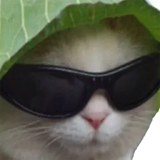 Стикер @EricKotato's random pack - 6