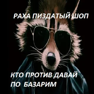 плакат солнечные очки СМС