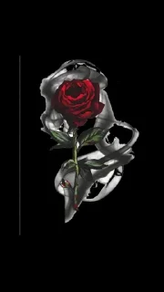 Sticker rai_tvoi - 6