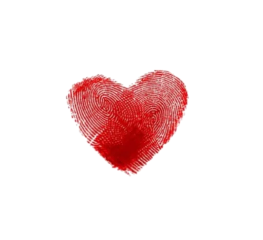 heart valentine's day red