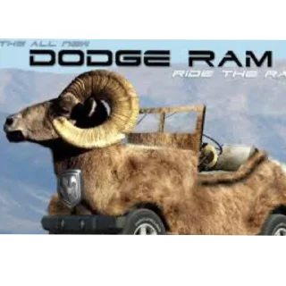 Стикер рам - 9