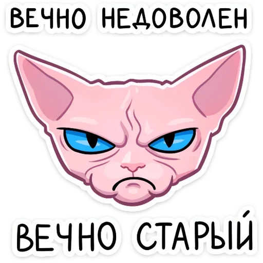 кошка СМС клипарт