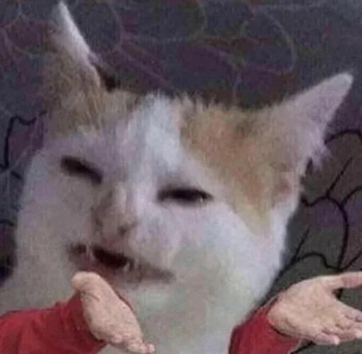 млекопитающее животное кошки малого и среднего размера