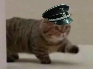 Sticker ранд щіт by @dedunrawiza - 8