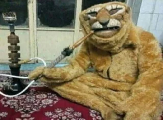 Sticker ранд щіт by @dedunrawiza - 2