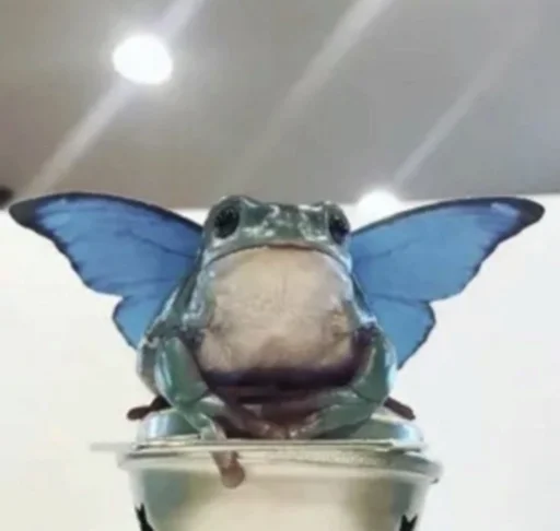 Стикер random stuff - 8