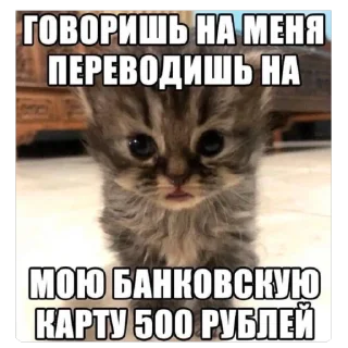 Стикер рандом - 8