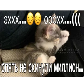 Стикер рандом - 3