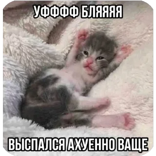 Стикер рандом - 2