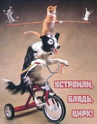 Sticker random_stickers_by_komod_v2 - 1