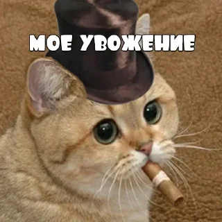 Стикер dev/urandom - 2