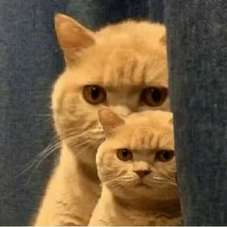 Стикер stpack - 3