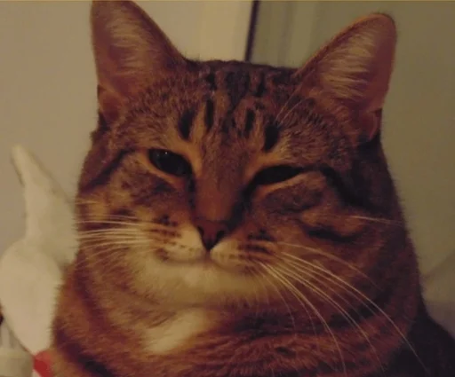 Стикер stpack - 9