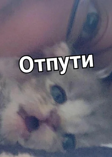 рандом пак - 