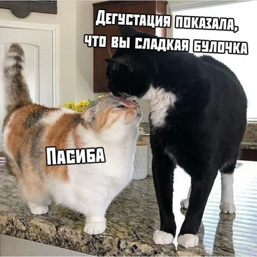 Sticker рандом пак - 11