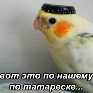 Sticker random | @psyk1dd - 9