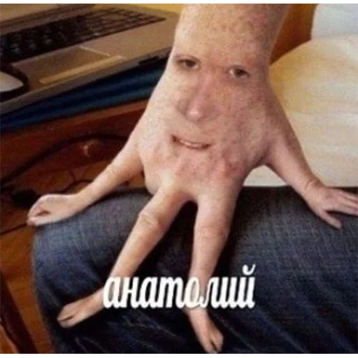 person indoor mammal