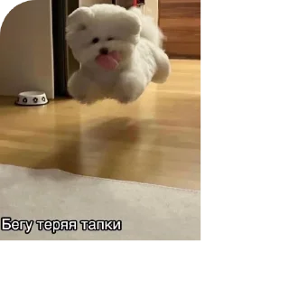 Стикер ...............раоопид - 2