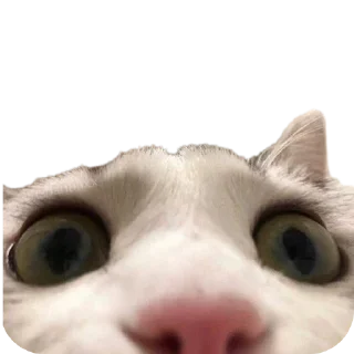 Стикер ...............раоопид - 9