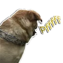 Sticker rapdog66 - 5