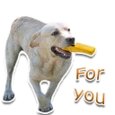 Sticker rapdog66 - 8