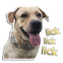 Sticker rapdog66 - 11