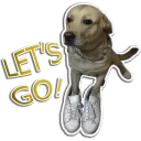 Sticker rapdog66 - 9