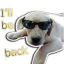 Sticker rapdog66 - 6