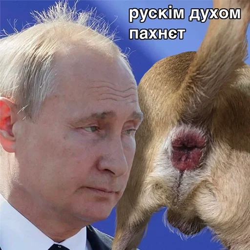 Стикер rapressor - 6