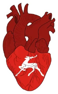 Sticker Vintage @stickersb2b - 4