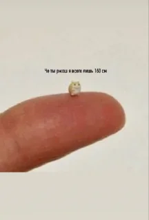 Стикер Мяуууу - 6