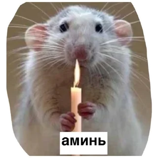 Sticker Крысиноэ - 3