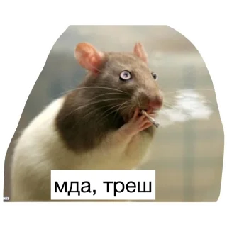 Sticker Крысиноэ - 6