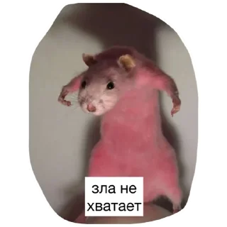 Sticker Крысиноэ - 11