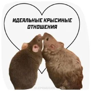 Sticker Крысиноэ - 2
